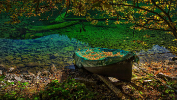 Картинка корабли лодки +шлюпки осень лодка листья