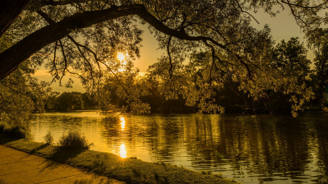 Обои картинки фото природа, парк, река, закат