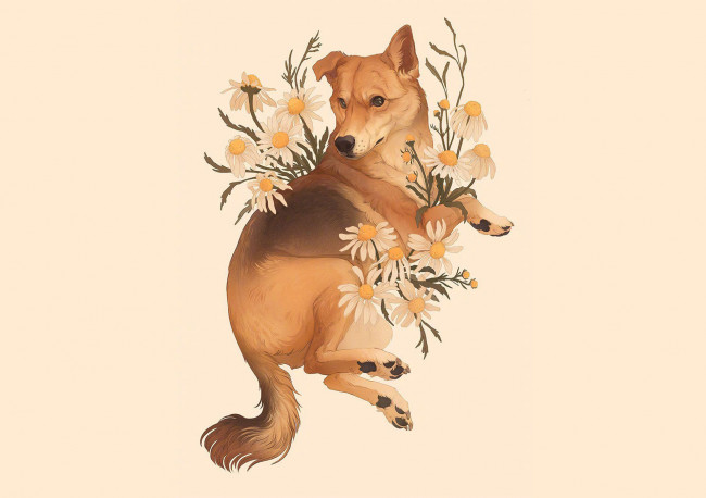 Обои картинки фото рисованное, животные,  собаки, собака, цветы, ромашки