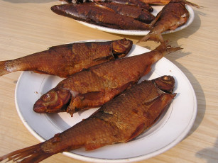 Картинка еда рыба морепродукты суши роллы