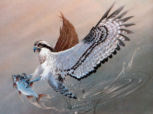 Картинка рисованные животные рыба птица