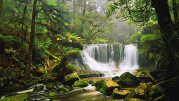 Картинка природа водопады деревья лес река камни