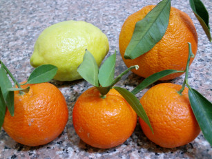 Картинка еда цитрусы апельсины лимон