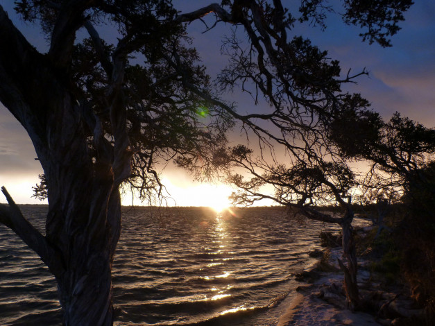 Обои картинки фото австралия, природа, восходы, закаты