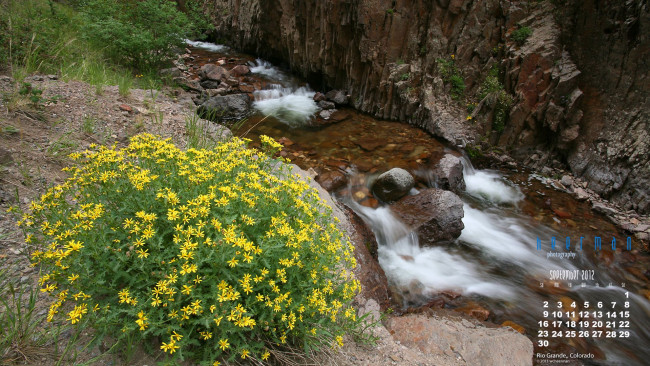 Обои картинки фото календари, природа, цветы, река, камни