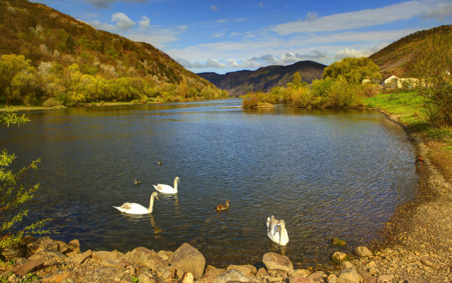 Обои картинки фото германия, эдигер, эллер, природа, реки, озера, река, утки