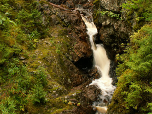 Картинка dalarna швеция природа водопады лес водопад