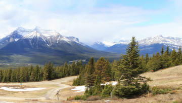 Картинка banff national park canada природа горы лес