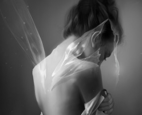 Картинка фэнтези феи монохромное крылья девушка арт порванное спина черно-белое