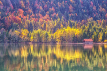 Картинка природа реки озера отражение озеро лес осень