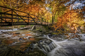 Картинка природа реки озера осень лес река мост