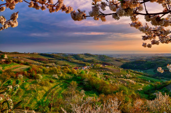 Картинка природа пейзажи италия ломбардия коллио весна апрель долина ветка цвет вечер