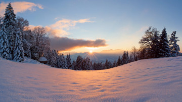 Картинка природа зима деревья снег лес свет солнце
