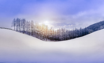 Картинка природа зима небо снег лес холм