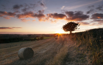 Картинка природа восходы закаты закат поле сено пейзаж