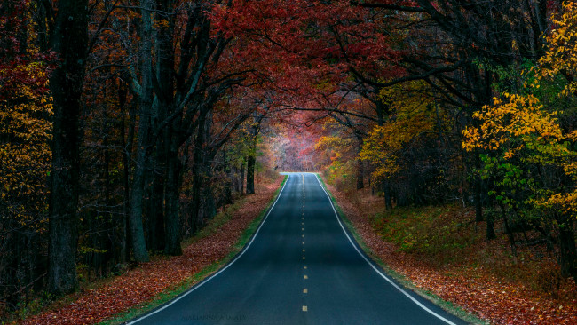 Обои картинки фото природа, дороги, дорога, краски, деревья, лес, осень