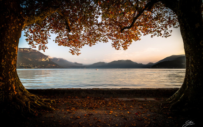 Обои картинки фото природа, реки, озера, река, деревья, осень