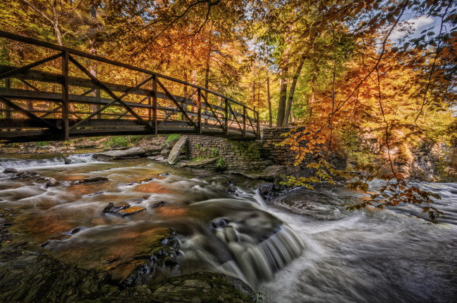 Обои картинки фото природа, реки, озера, осень, лес, река, мост