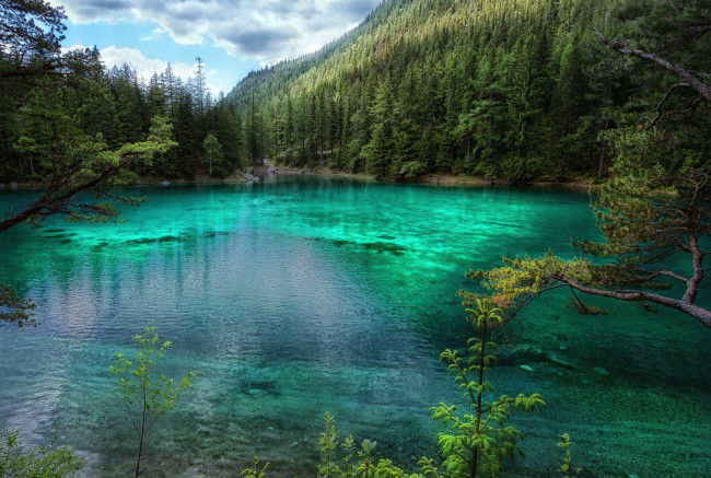 Обои картинки фото природа, реки, озера, австрия, горы, лес, озеро