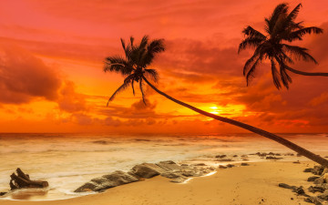 Картинка природа тропики paradise shore sea sunset beach sand tropical пальмы закат песок берег пляж море
