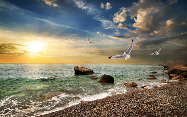 Обои картинки фото природа, восходы, закаты, sea, море, закат, sunset, beach, wave, sky