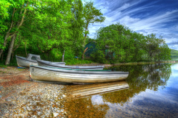 Картинка корабли лодки +шлюпки деревья лодка берег озеро