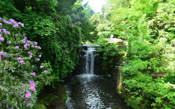 Картинка природа водопады кусты англия ньюкасл-апон-тайн водопад jesmond dene park