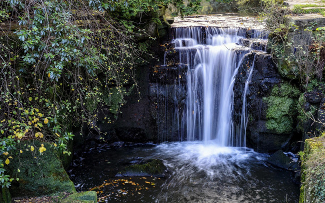 Обои картинки фото природа, водопады, jesmond, dene, park, водопад, англия, кусты, ньюкасл-апон-тайн