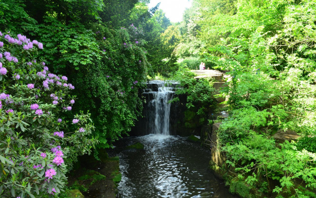 Обои картинки фото природа, водопады, кусты, англия, ньюкасл-апон-тайн, водопад, jesmond, dene, park