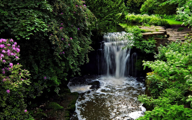 Обои картинки фото природа, водопады, кусты, англия, ньюкасл-апон-тайн, jesmond, dene, park, водопад
