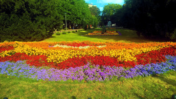 Картинка природа парк цветы клумбы