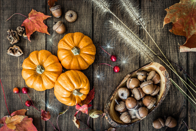 Обои картинки фото еда, тыква, желуди, листья, осень