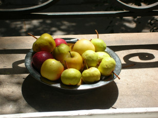 Картинка еда фрукты ягоды тарелка яблоко