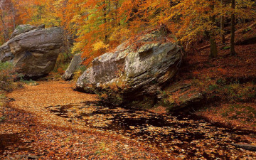 Картинка природа реки озера лес река деревья осень листья камни