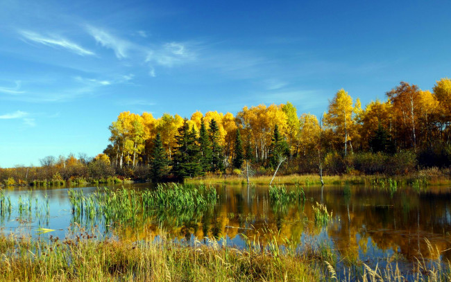 Обои картинки фото природа, реки, озера, осень, облака, вода