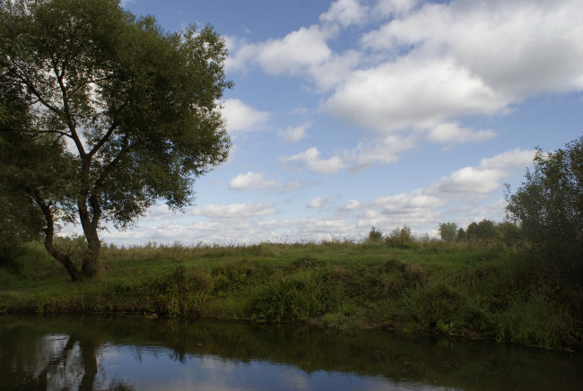 Обои картинки фото природа, реки, озера, дерево, река, облака