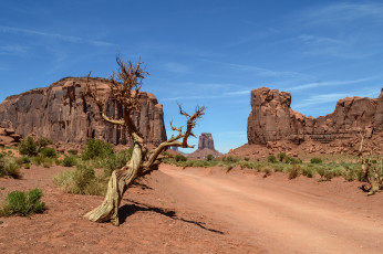 Картинка природа пустыни скалы