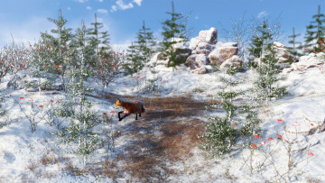 Картинка 3д+графика животные+ animals фон снег елка лиса