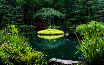 Картинка природа парк пруд камыши деревья фигурки