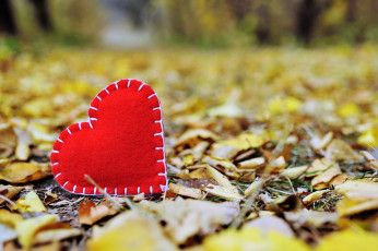 Картинка праздничные день+святого+валентина +сердечки +любовь сердечко осень листья