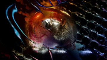 Картинка 3д+графика абстракция+ abstract ячейки пузырь