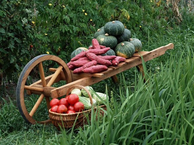 Обои картинки фото еда, овощи