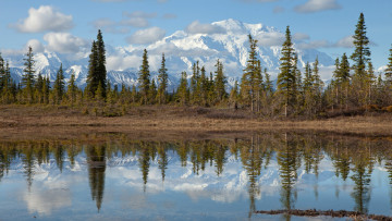 Картинка denali national park mount mckinley alaska природа реки озера озеро ели облака деревья пейзаж аляска горы
