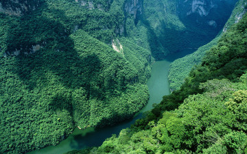 Картинка природа реки озера река лес деревья