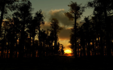 Картинка природа восходы закаты темные деревья солнце