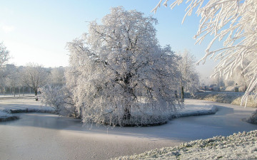обоя природа, зима, иней, снег, река, деревья, парк