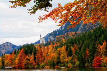 Картинка германия бавария швангау природа горы осень лес