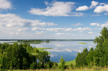 Картинка snudy lake латвия природа реки озера озеро деревья побережье