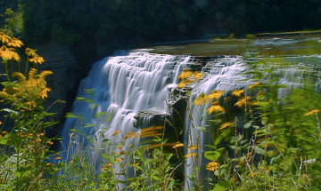 обоя природа, водопады, река, лес, пороги, водопад, цветы, обрыв