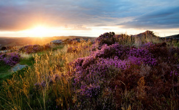 Картинка природа восходы закаты поле трава цветы облака сияние свет